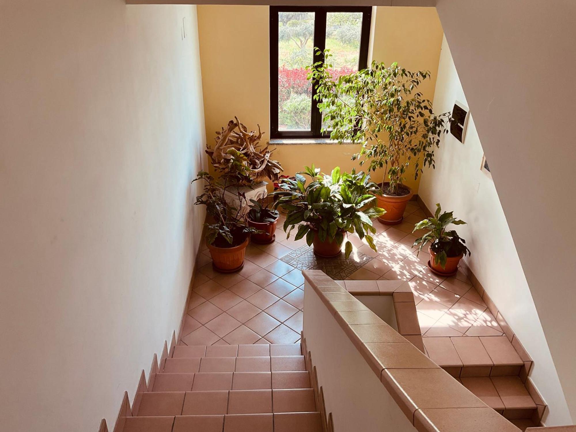 Casa Vacanza Demetra Fuscaldo エクステリア 写真