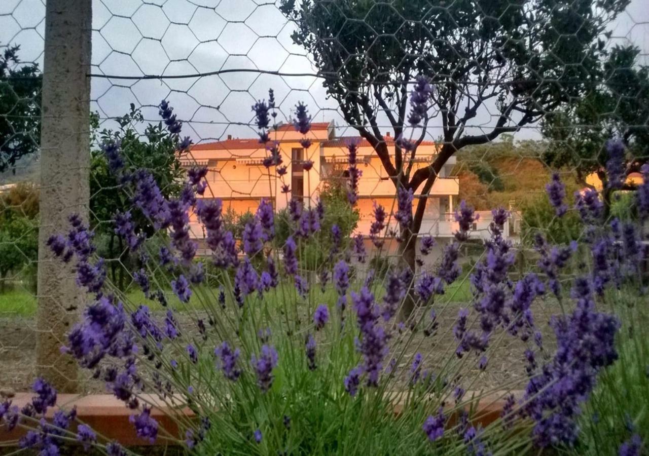 Casa Vacanza Demetra Fuscaldo エクステリア 写真
